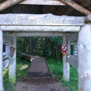 Photo 4 - Sõõriksoo dabas taka