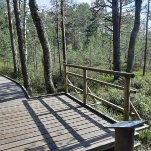 Photo 8 - Sõõriksoo dabas taka