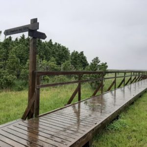 Photo 4 - Orjaku izziņas taka