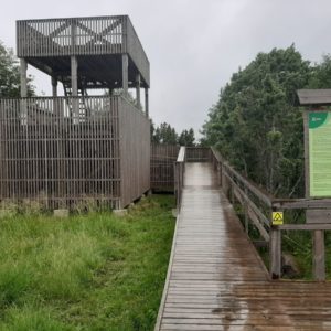 Photo 5 - Orjaku izziņas taka