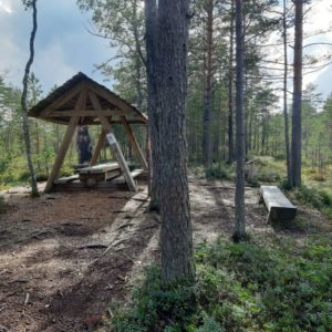Photo 14 - Sõõriksoo dabas taka