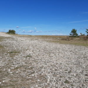 Photo 1 - Tahkuna tuletorn