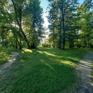 Photo 1 - Sūremeisas muiža, Angļu parks un Ziedu dārzs
