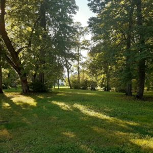 Photo 2 - Sūremeisas muiža, Angļu parks un Ziedu dārzs