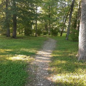 Photo 3 - Sūremeisas muiža, Angļu parks un Ziedu dārzs