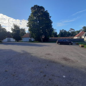 Photo 5 - Sūremeisas muiža, Angļu parks un Ziedu dārzs