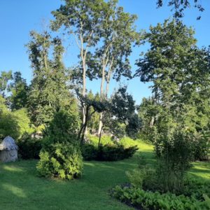 Photo 15 - Sūremeisas muiža, Angļu parks un Ziedu dārzs