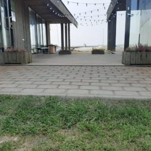 Photo 2 - Orjaku osta