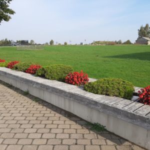 Photo 7 - Orjaku osta