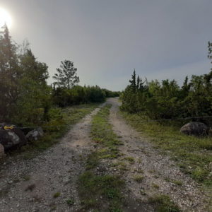 Photo 1 - Sääretirp