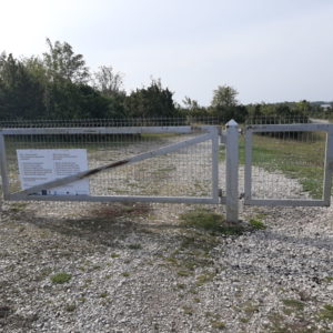 Photo 2 - Sääretirp