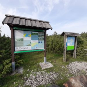 Photo 8 - Sääretirp