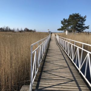 Photo 6 - Paralepa beach to Õhtu kallas