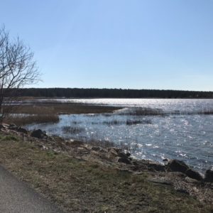 Photo 11 - Paralepa beach to Õhtu kallas