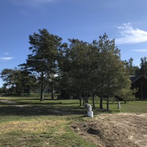 Photo 5 - Silma darbnīca un dabas liegums