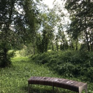 Photo 5 - Keila Jõepark