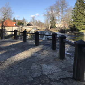 Photo 5 - RMK Keila-Joa pargi loodusrada