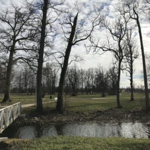 Photo 2 - Ūemeisas muižas parks