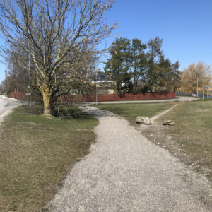 Photo 6 - Haapsalu Väike Viik