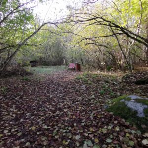 Photo 8 - Palivere Hiking Trails
