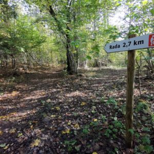 Photo 9 - Palivere Hiking Trails