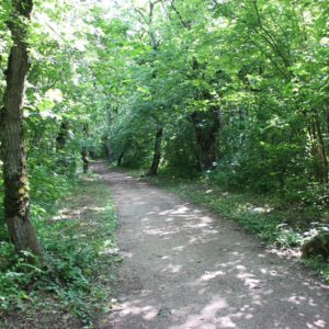 Photo 18 - Rakveres ozolu taka