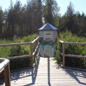 Photo 26 - RMK Tudu Forest Hut