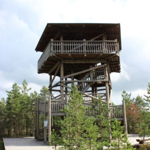 Photo 27 - RMK Viru bog nature trail