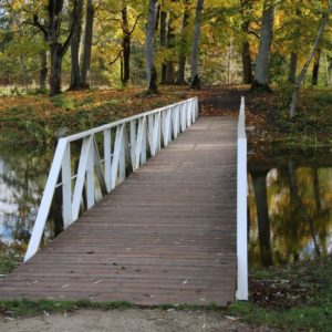 Photo 6 - Ūemeisas muižas parks