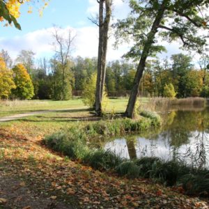 Photo 8 - Ūemeisas muižas parks