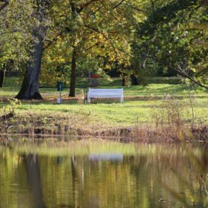 Photo 10 - Ūemeisas muižas parks