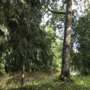 Photo 4 - Keila Jõepark