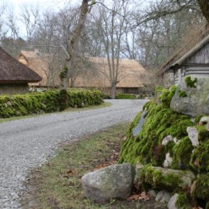 Photo 3 - Koguva küla