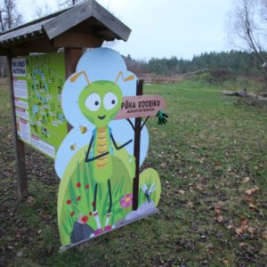Photo 8 - Püha Soobiku discovery trail