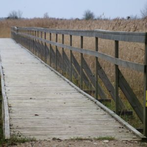 Photo 10 - Orjaku izziņas taka
