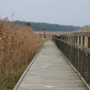 Photo 11 - Orjaku izziņas taka