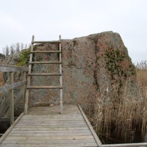 Photo 13 - Orjaku izziņas taka