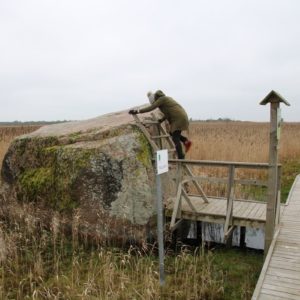 Photo 14 - Orjaku izziņas taka