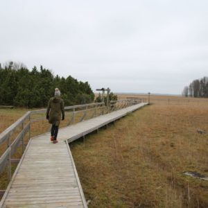 Photo 15 - Orjaku izziņas taka