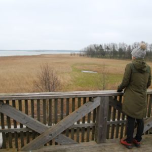 Photo 17 - Orjaku izziņas taka
