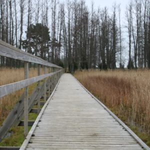 Photo 18 - Orjaku izziņas taka