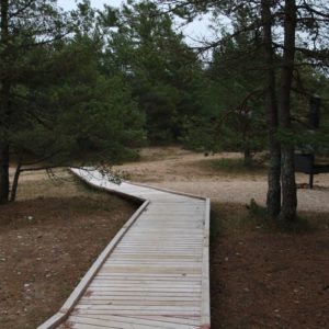 Photo 23 - RMK Kaleste telkmisala ja õpperada