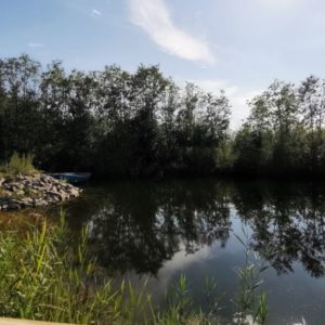 Photo 5 - Fishing site between bays Suurlaht and Linnulaht