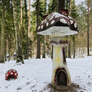 Photo 6 - Latvijas valsts mežu dabas parks Tērvetē