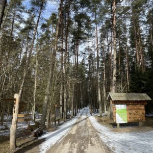 Photo 5 - Latvijas valsts mežu dabas parks Tērvetē