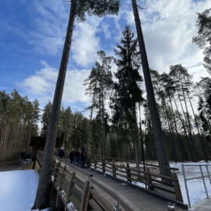 Photo 2 - Latvijas valsts mežu dabas parks Tērvetē