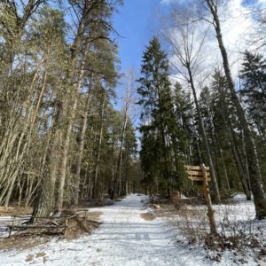 Photo 17 - Latvijas valsts mežu dabas parks Tērvetē
