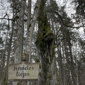 Photo 11 - Latvijas valsts mežu dabas parks Tērvetē