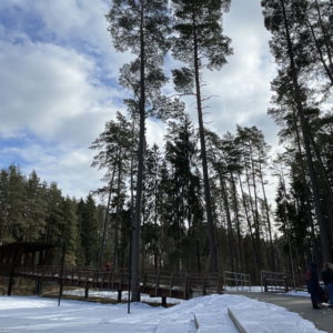 Photo 1 - Latvijas valsts mežu dabas parks Tērvetē
