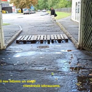 Photo 5 - Latvijas Universitātes Botaniskais dārzs, Kandavas iela 2, Iļģuciems, Rīga